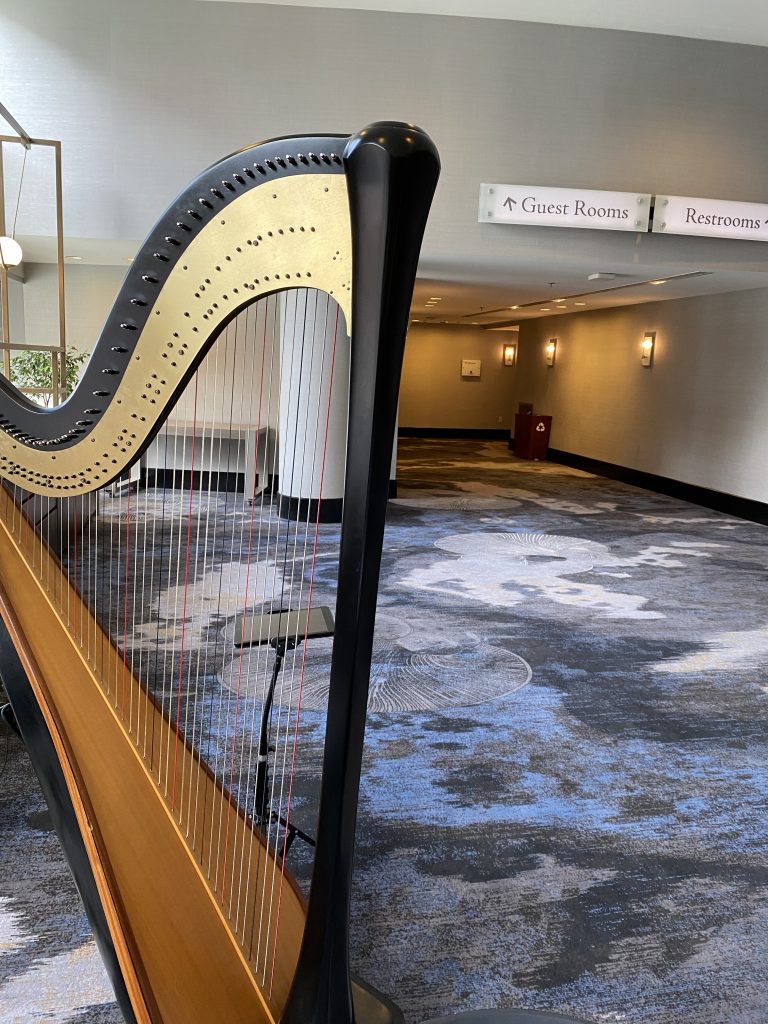 Harpist Grand Rapids MI