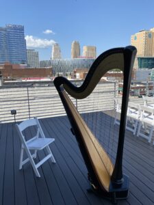 Kansas City MO Wedding Harpist