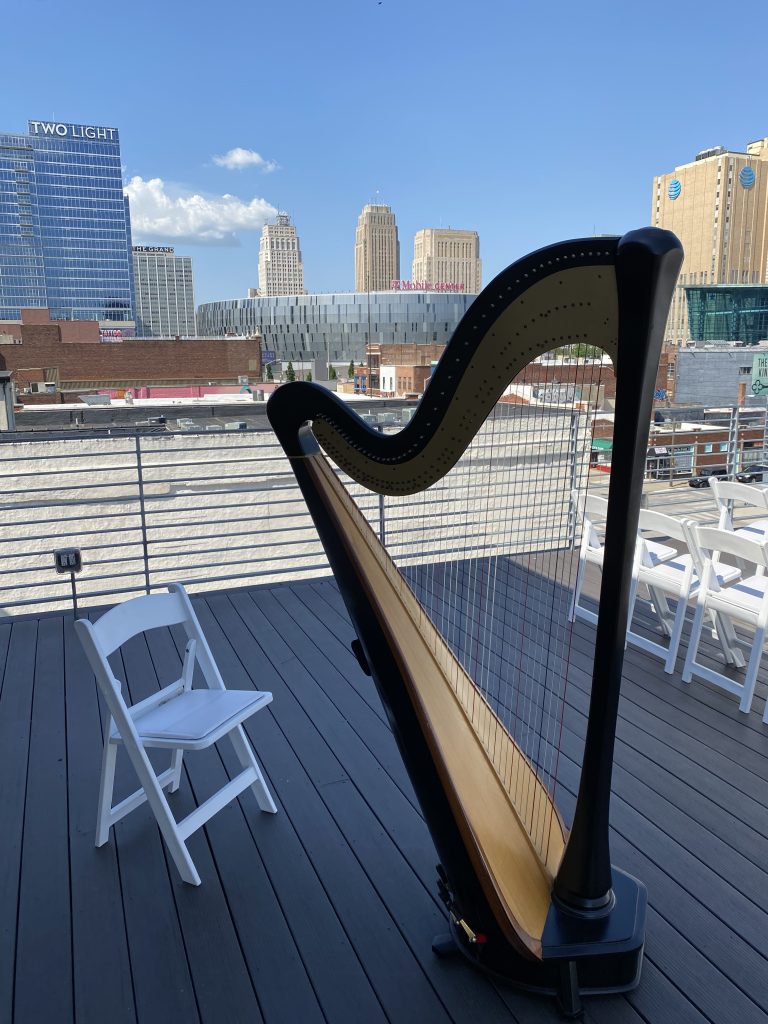 Harp Musician Kansas City