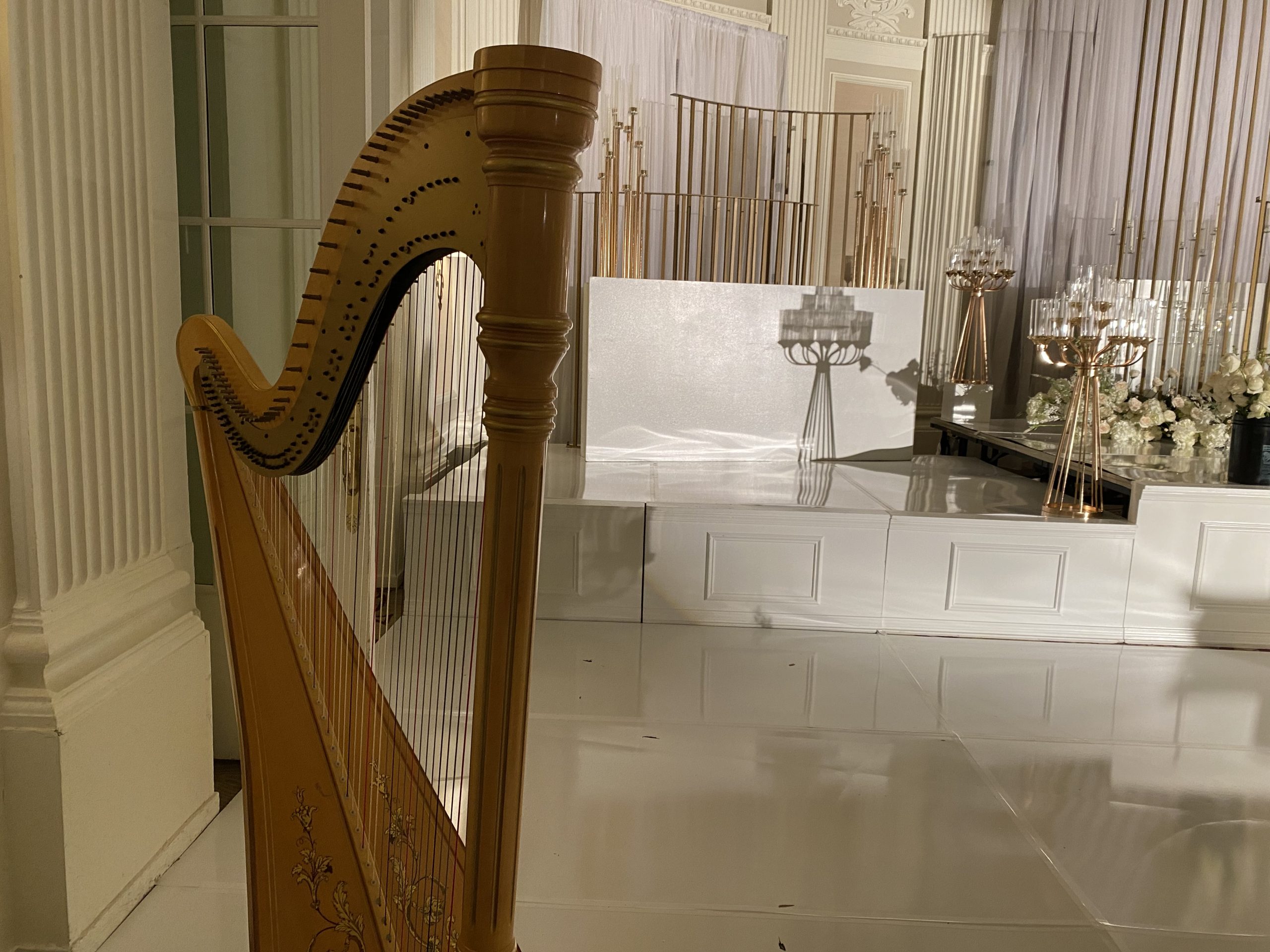 Wedding Harpist Peoria