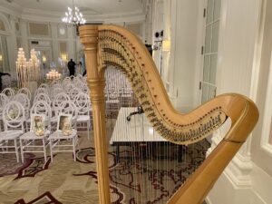 Wedding Music in Central Illinois