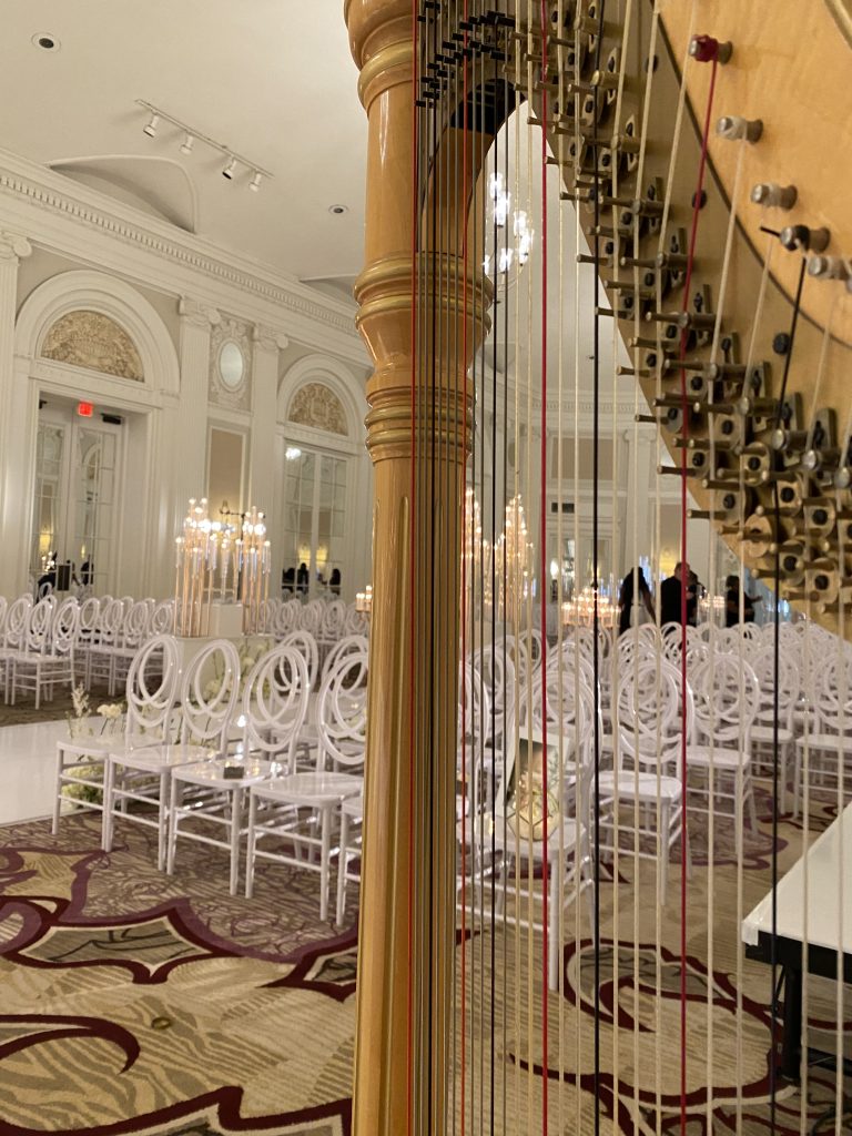 Harp Player Peoria Illinois