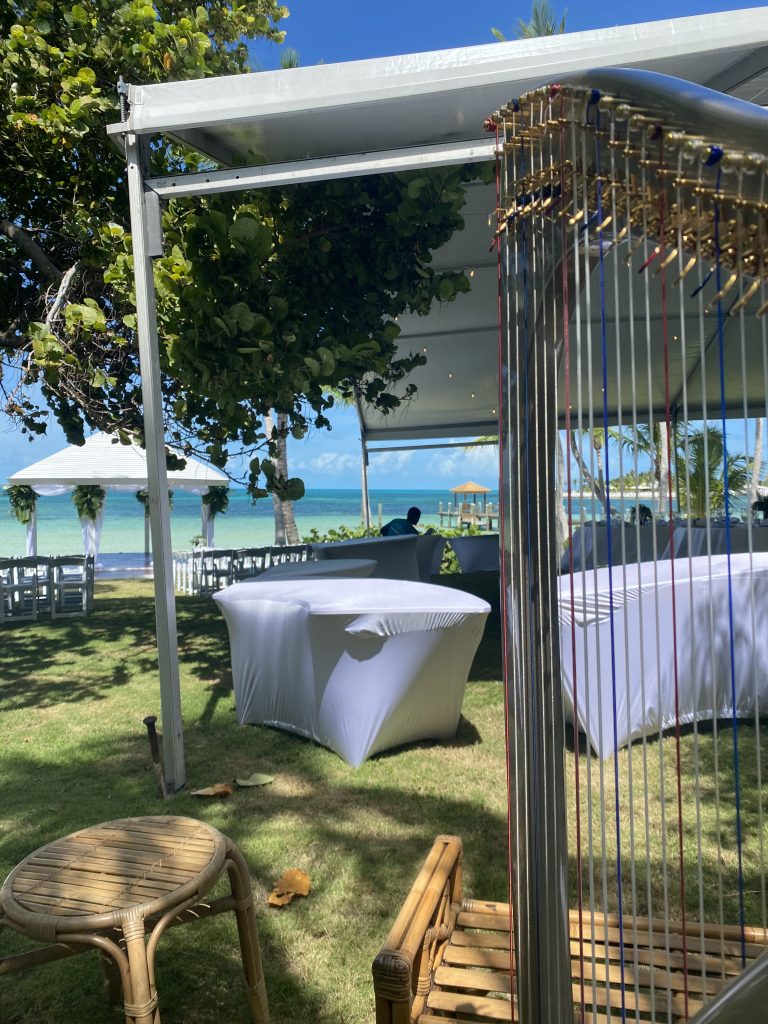 Wedding Harpist Bahamas