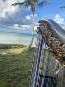 Live Music for Weddings The Bahamas