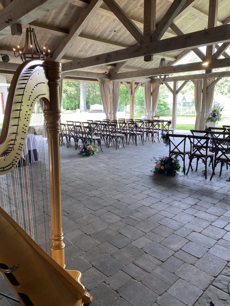 Harpist in Cambridge Ontario