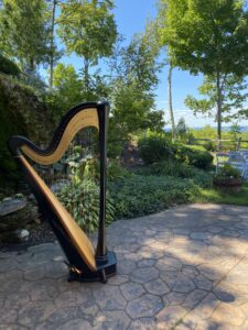 Harp & Violin Duet Green Bay