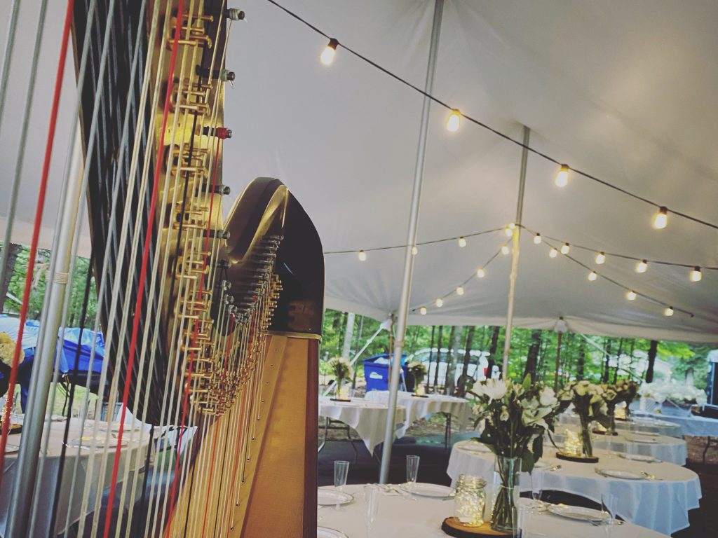 Interlochen Harpist