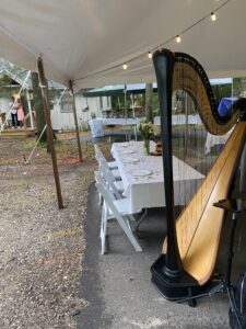 Wedding Musicians in Interlochen