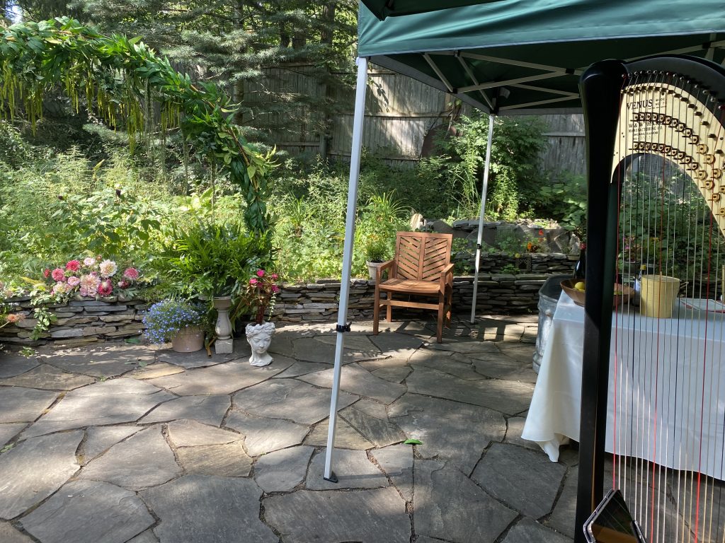 Wedding Harpist Michigan City