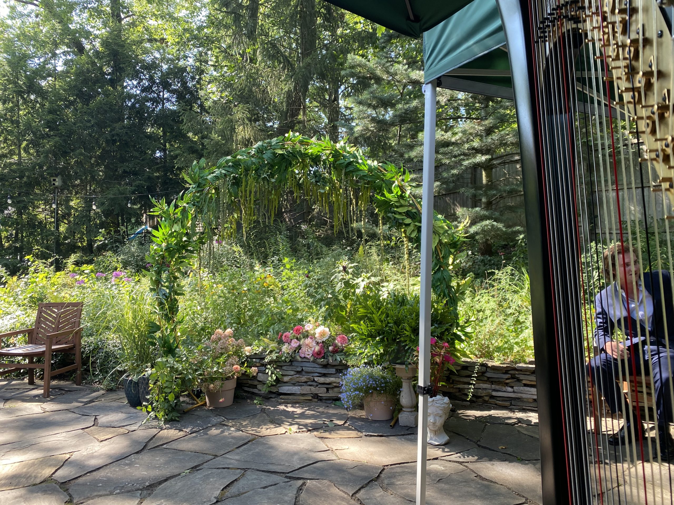 Harp Player Michigan City