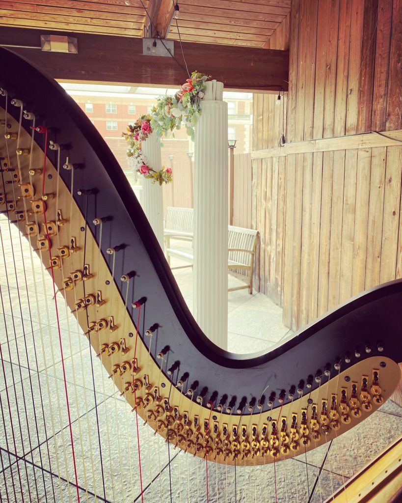 Wedding Musicians Joliet