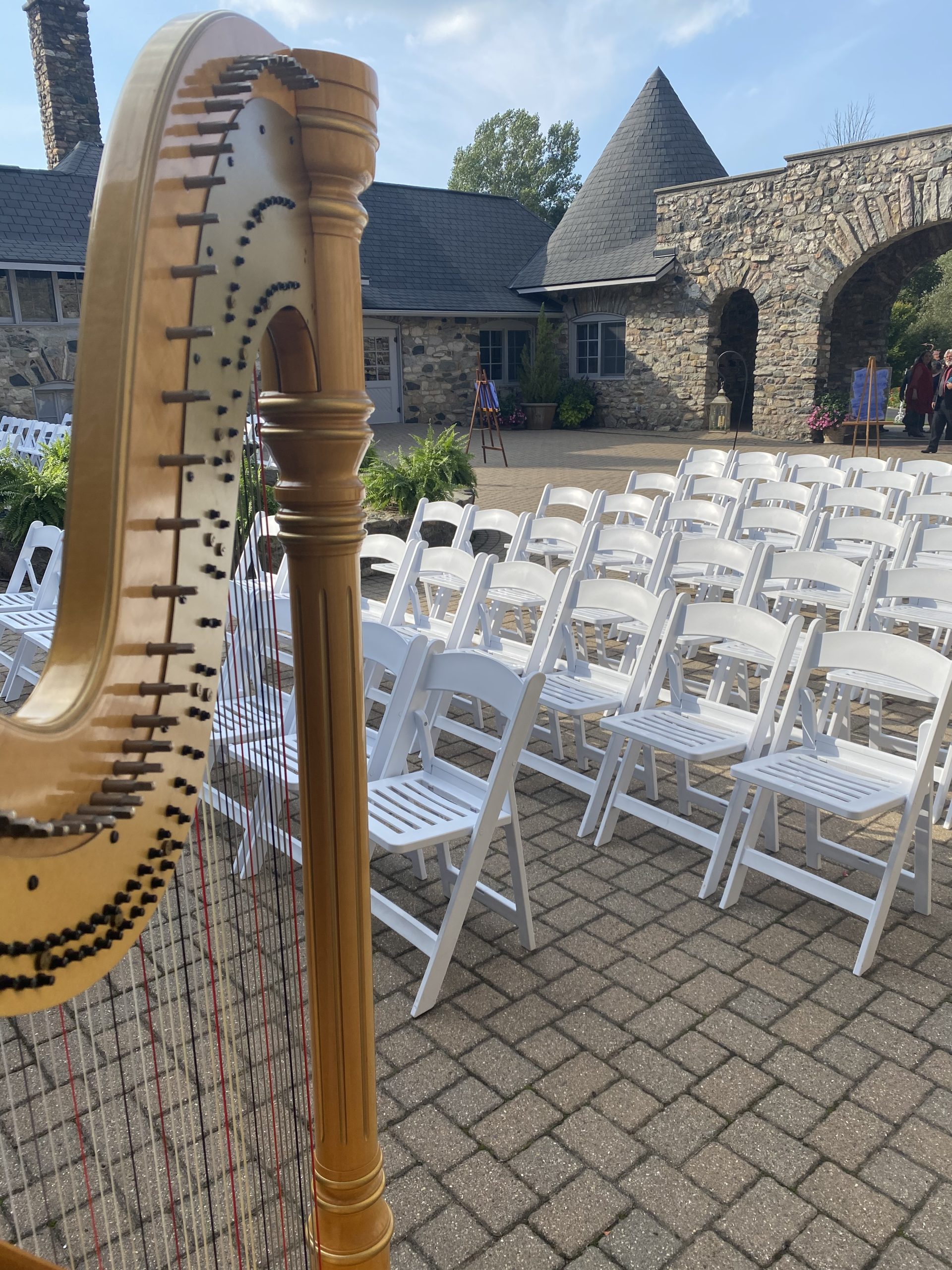 Harp Player in Charlevoix