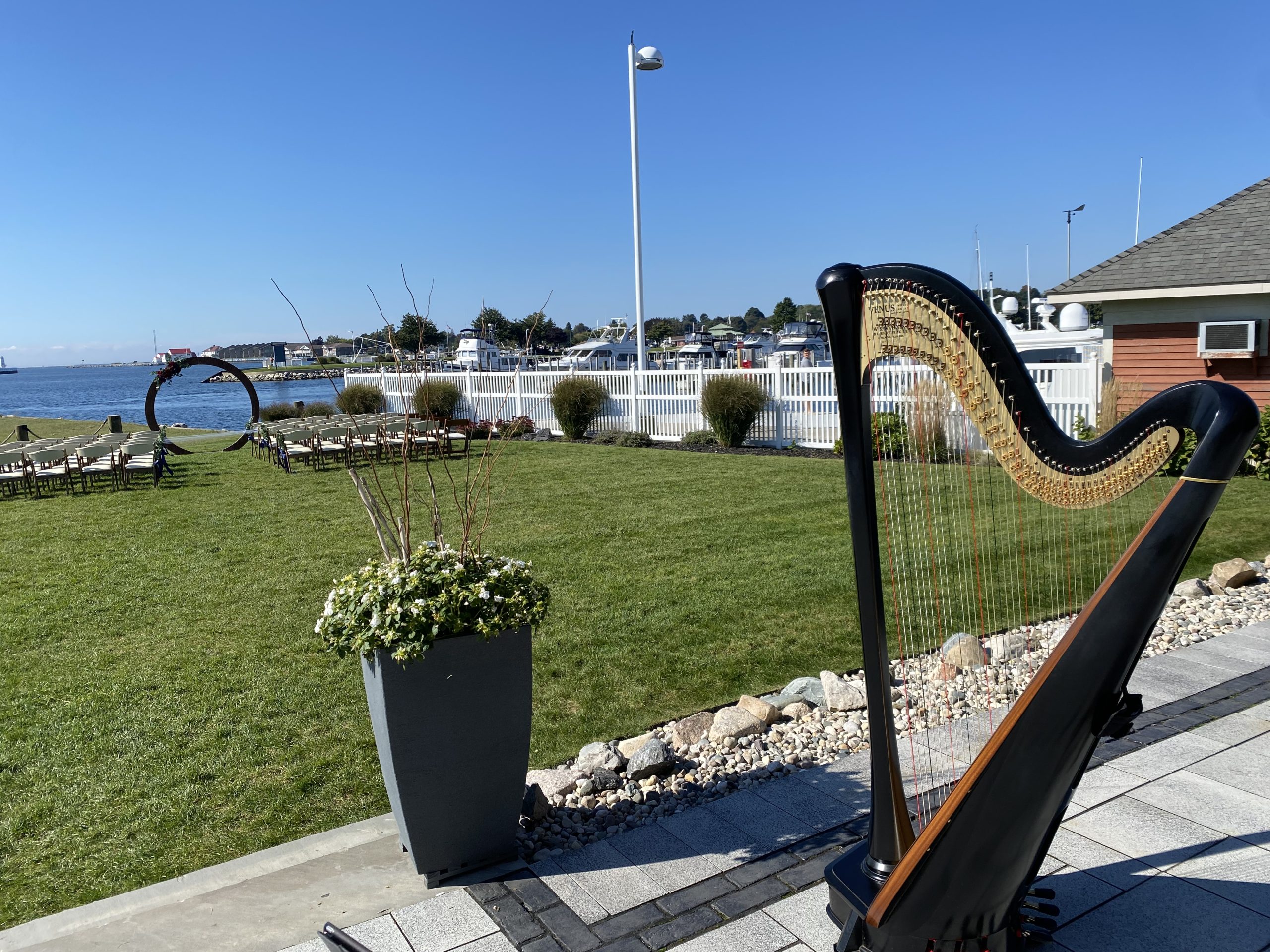Ludington MI Harp Player