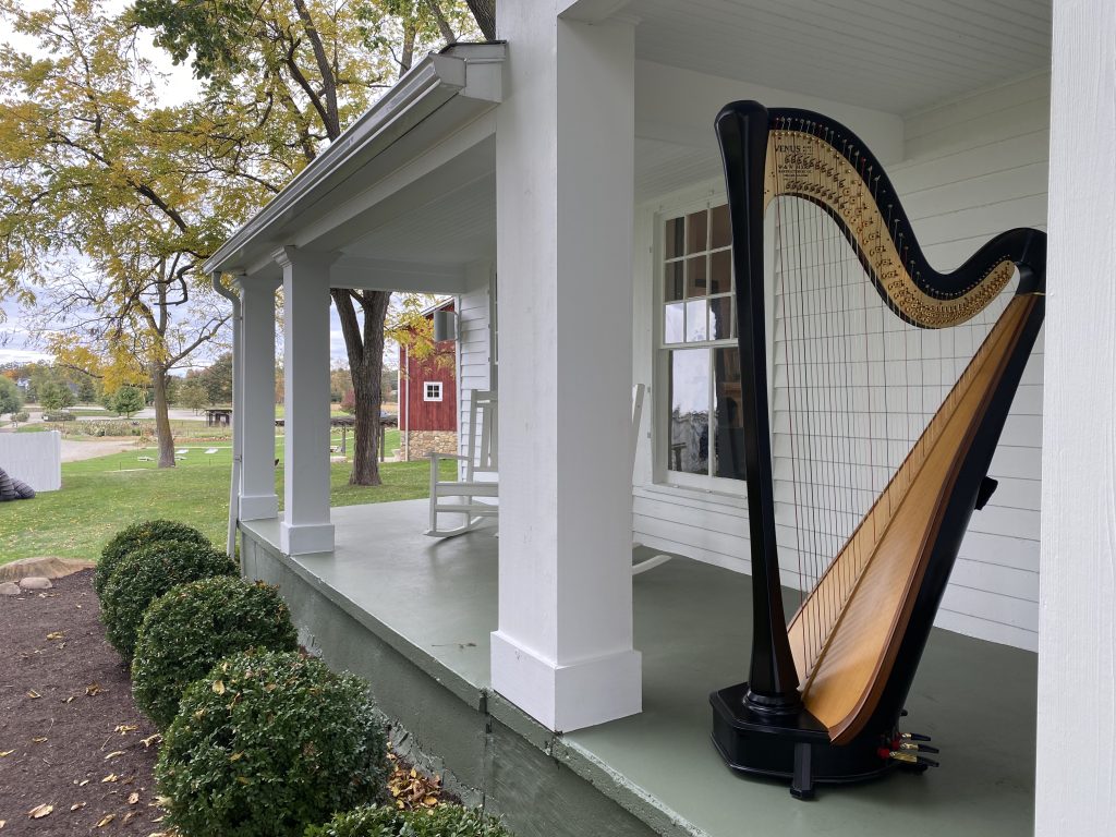 Wedding Harpist Ann Arbor Michigan