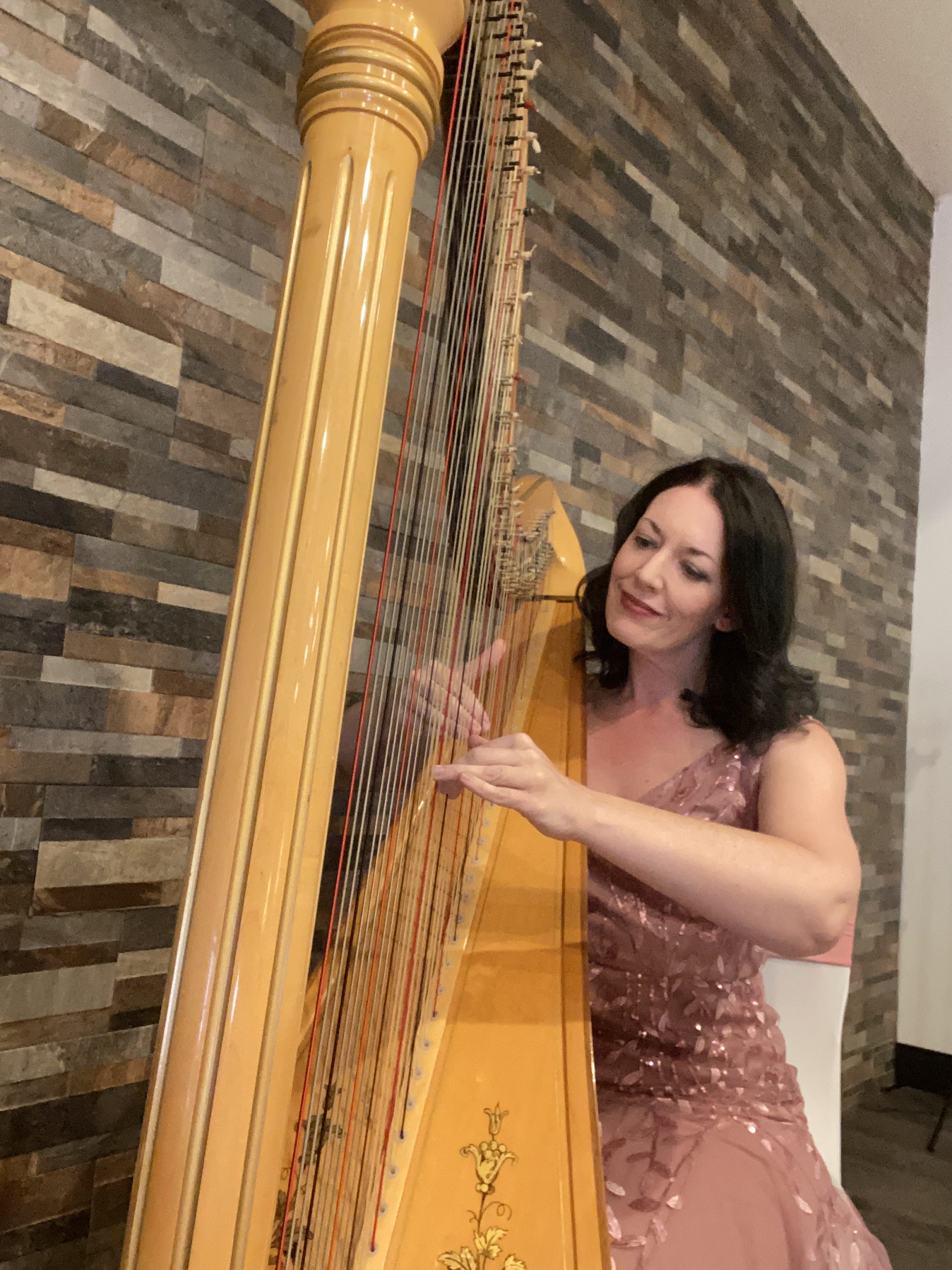 Harpist in St. Louis