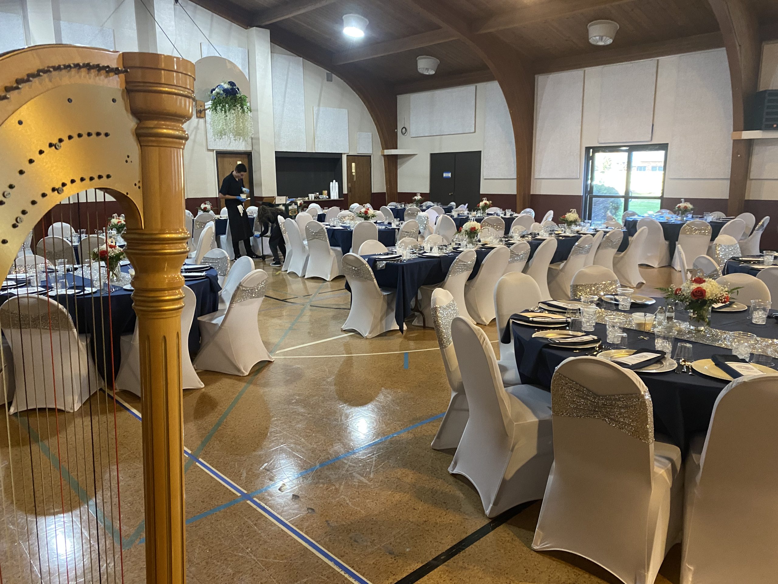 Chicago Harp and Violin Duet