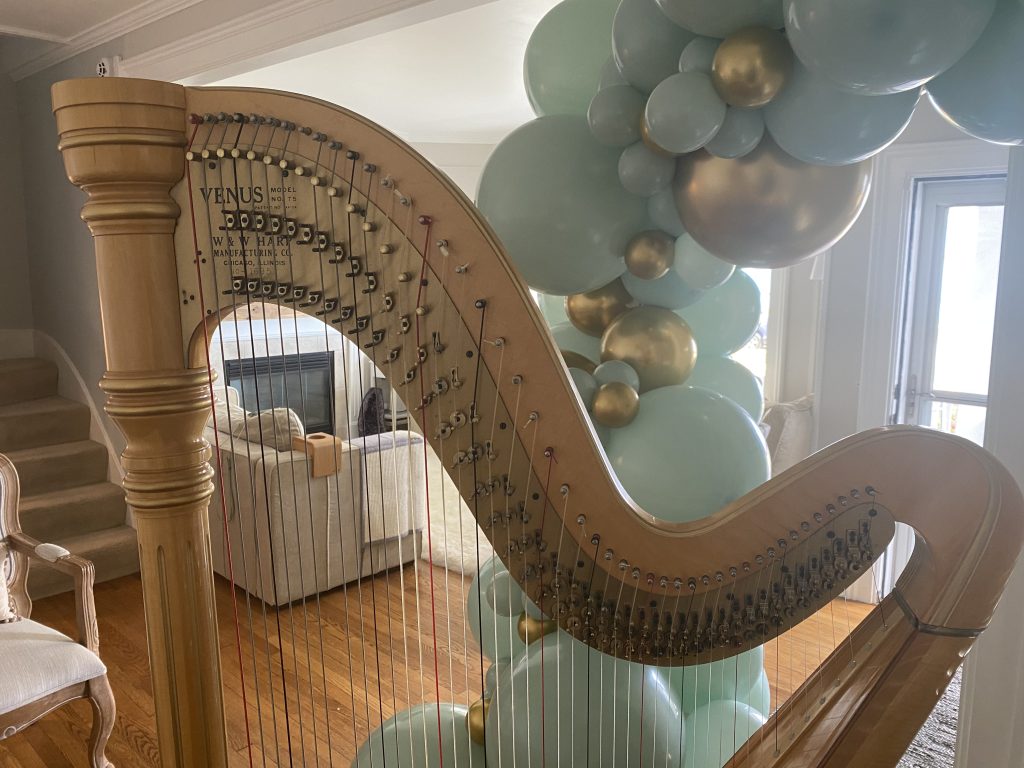 Harp Music Racine Wisconsin