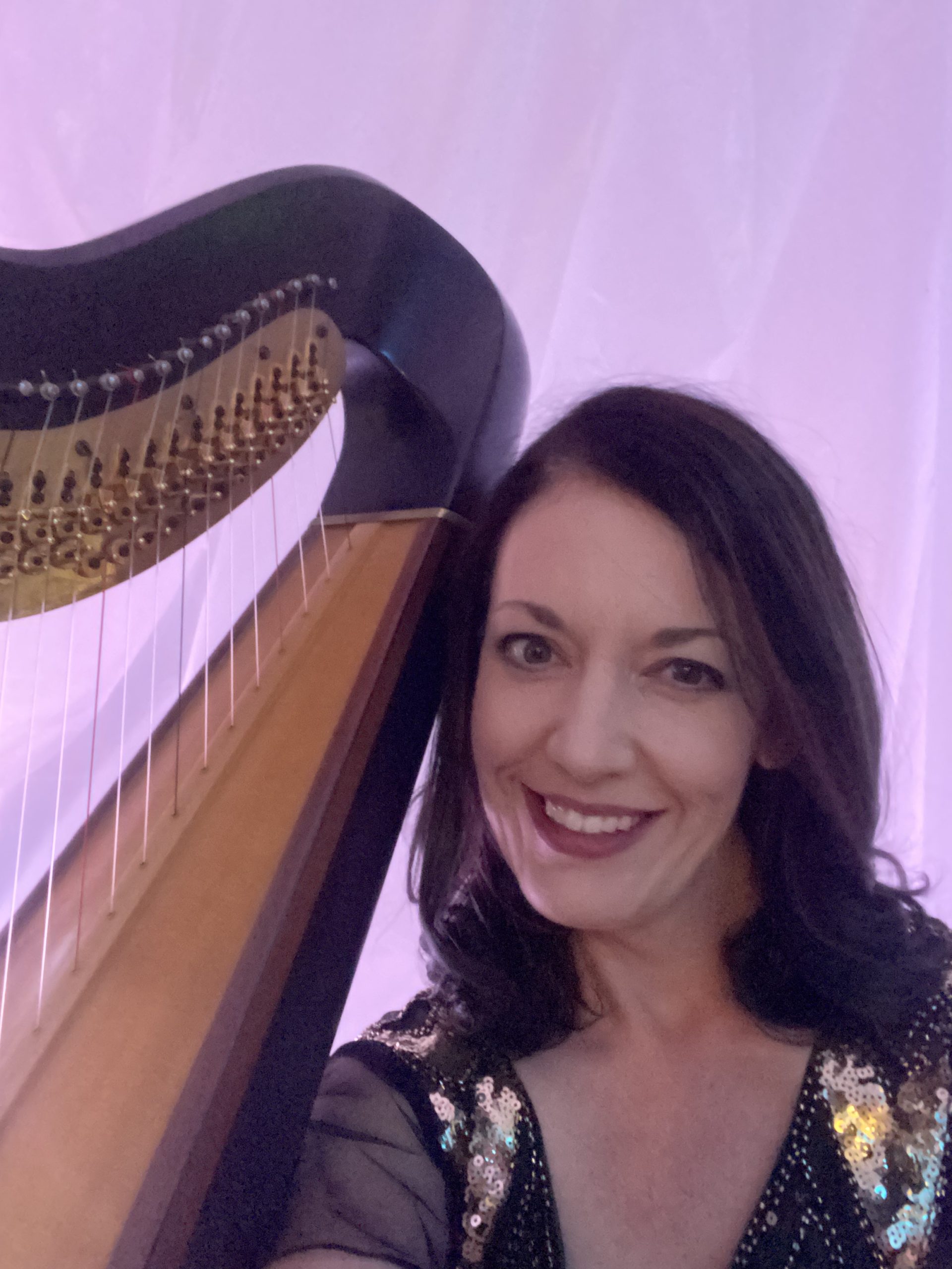 Pittsburgh PA Harpist