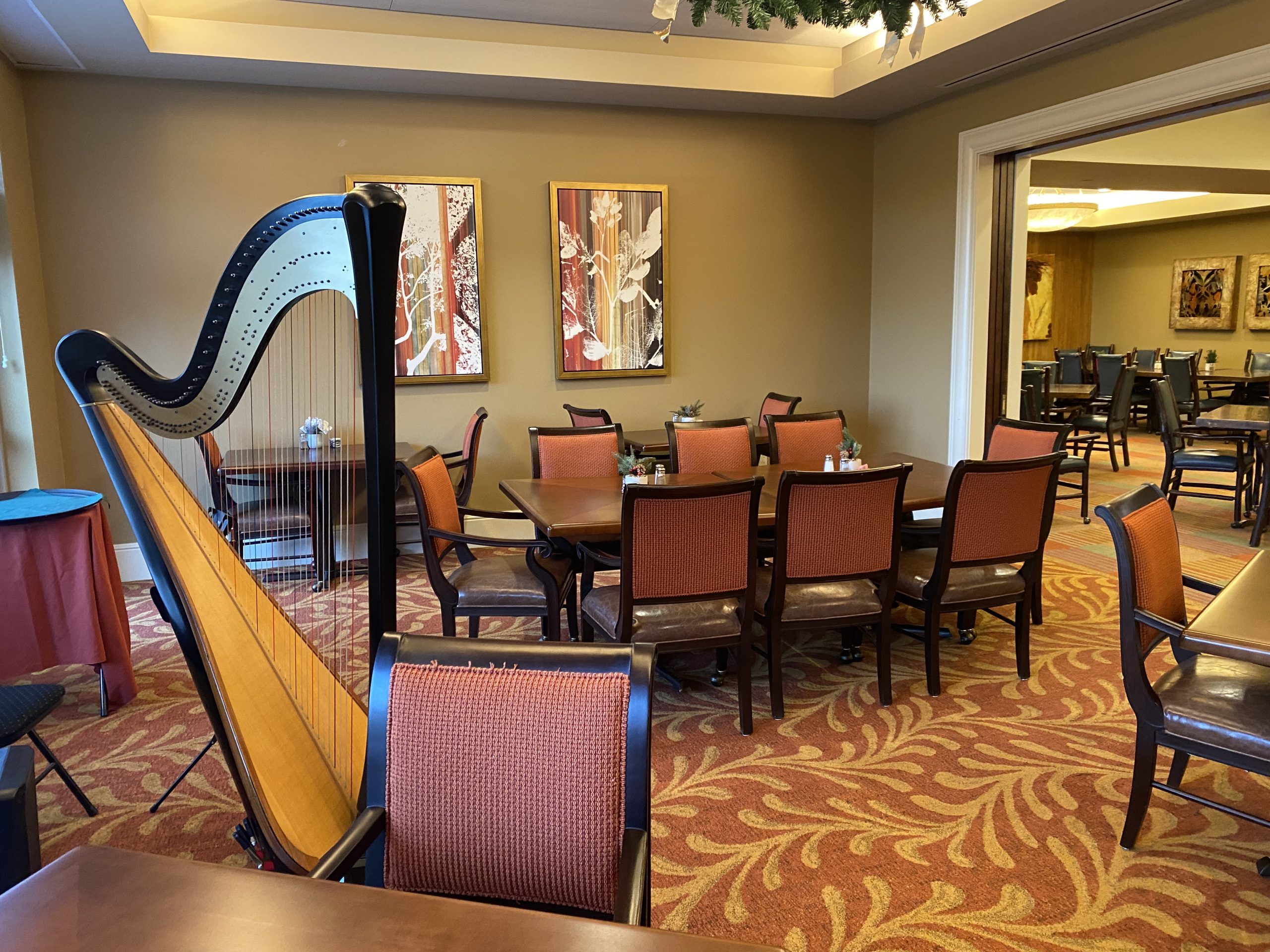 Pittsburgh PA Harp