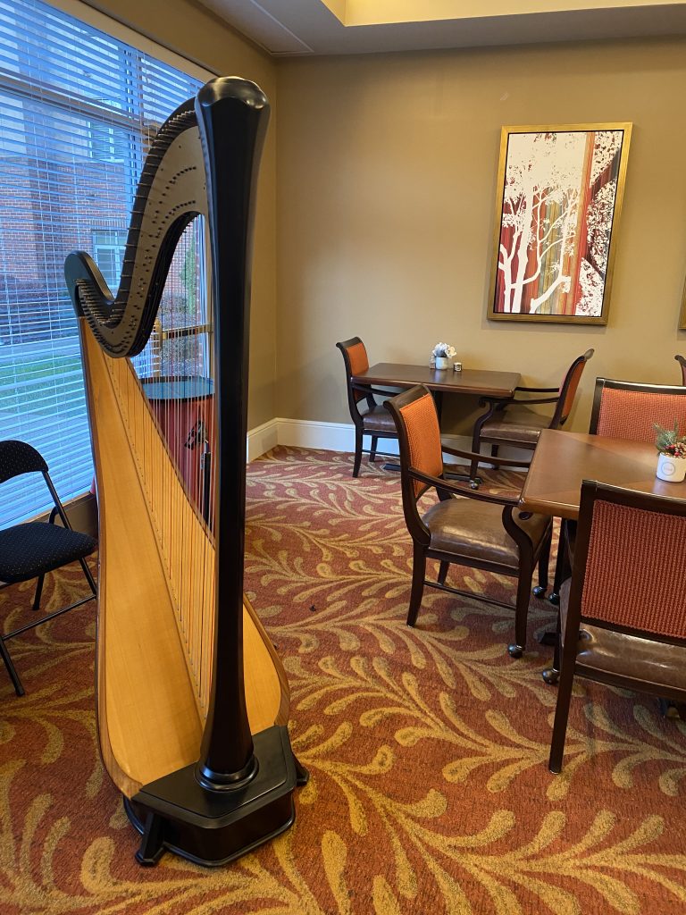 Pennsylvania Harpist