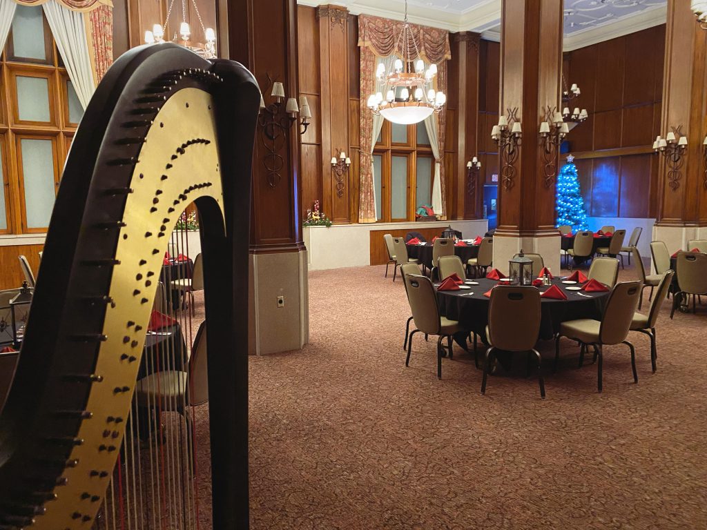 Rochester Harpist