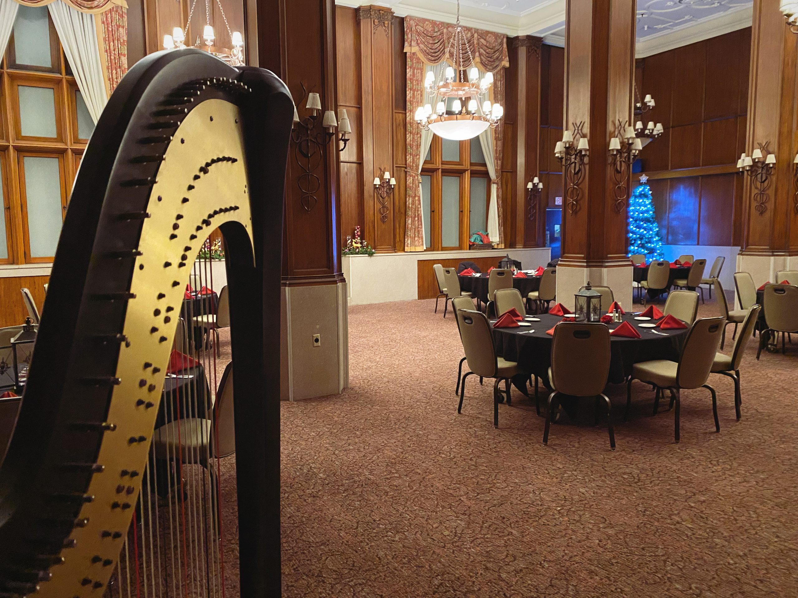Rochester Harpist