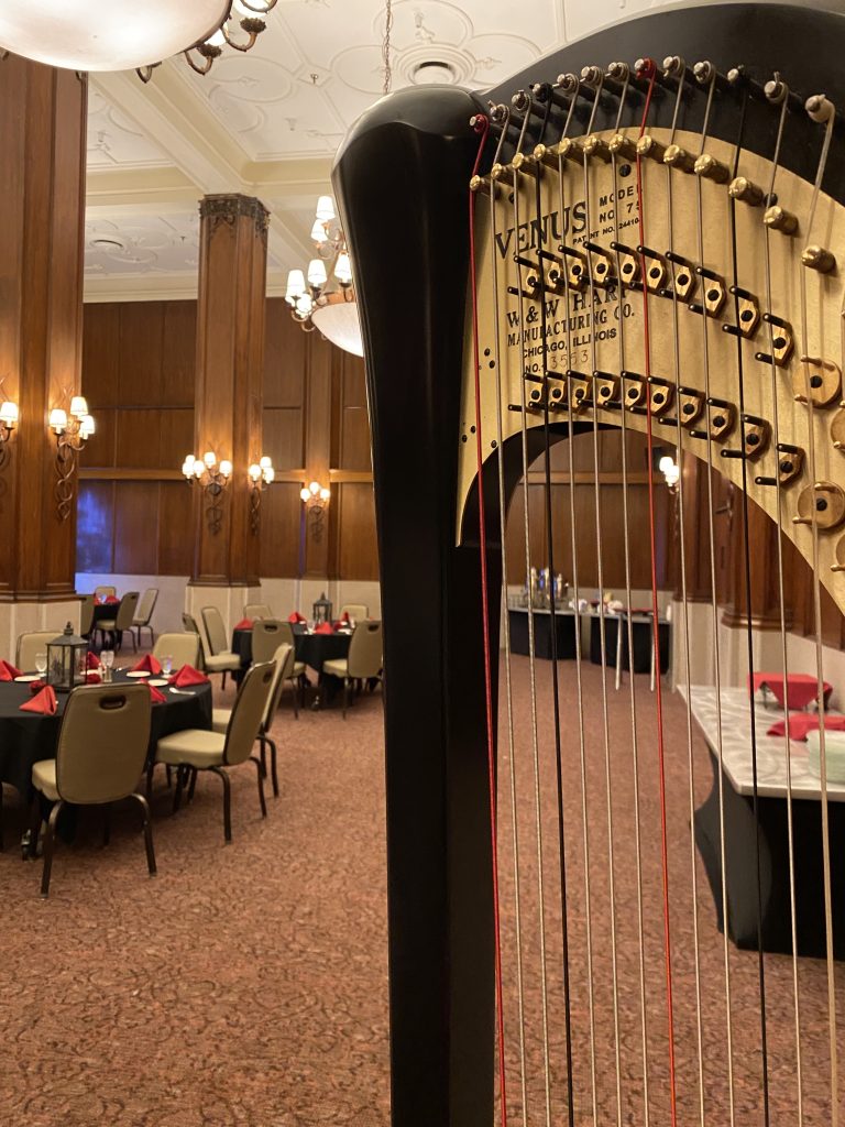 Rochester Minnesota Harpist