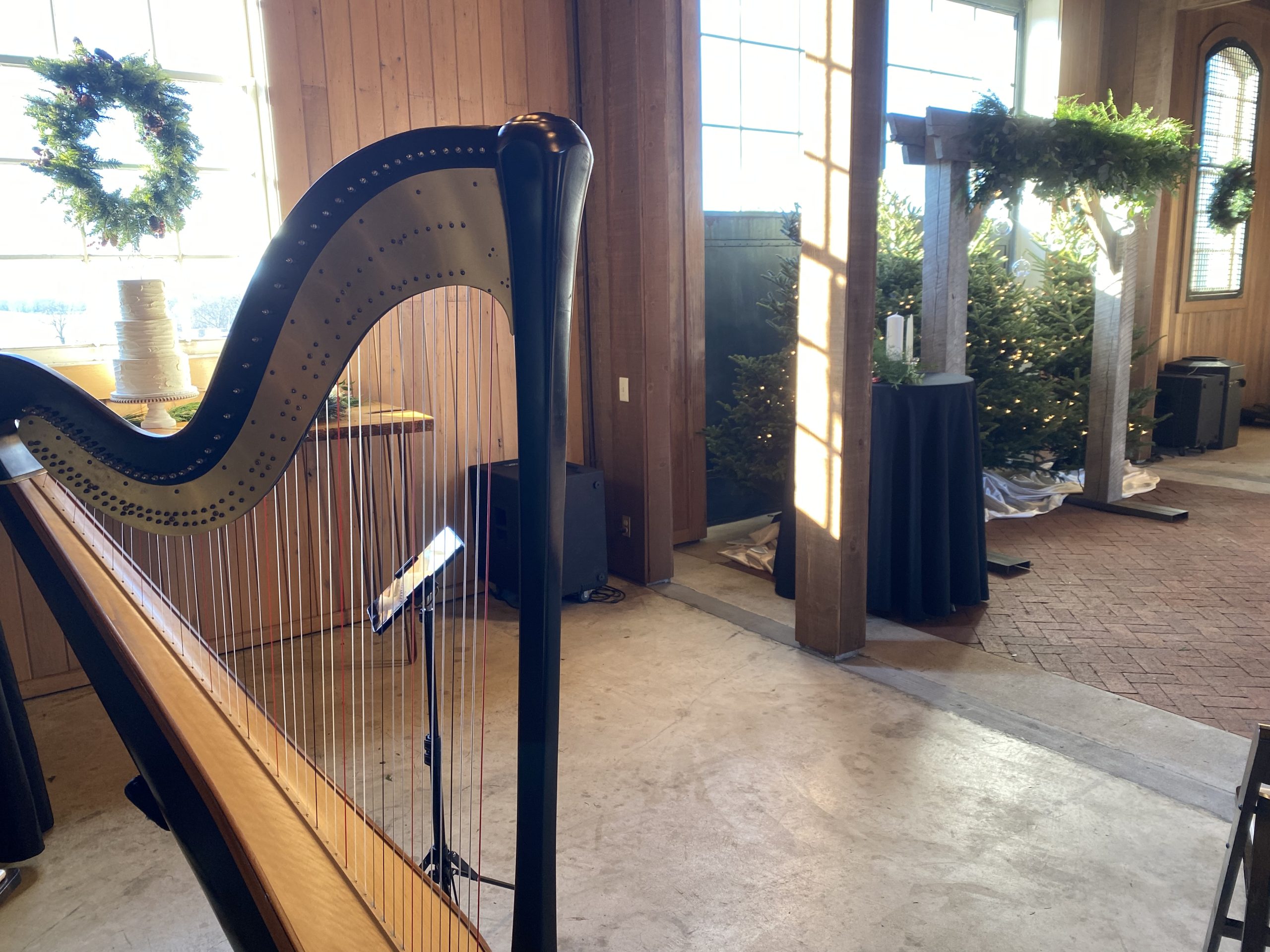 Kentucky Wedding Harpist