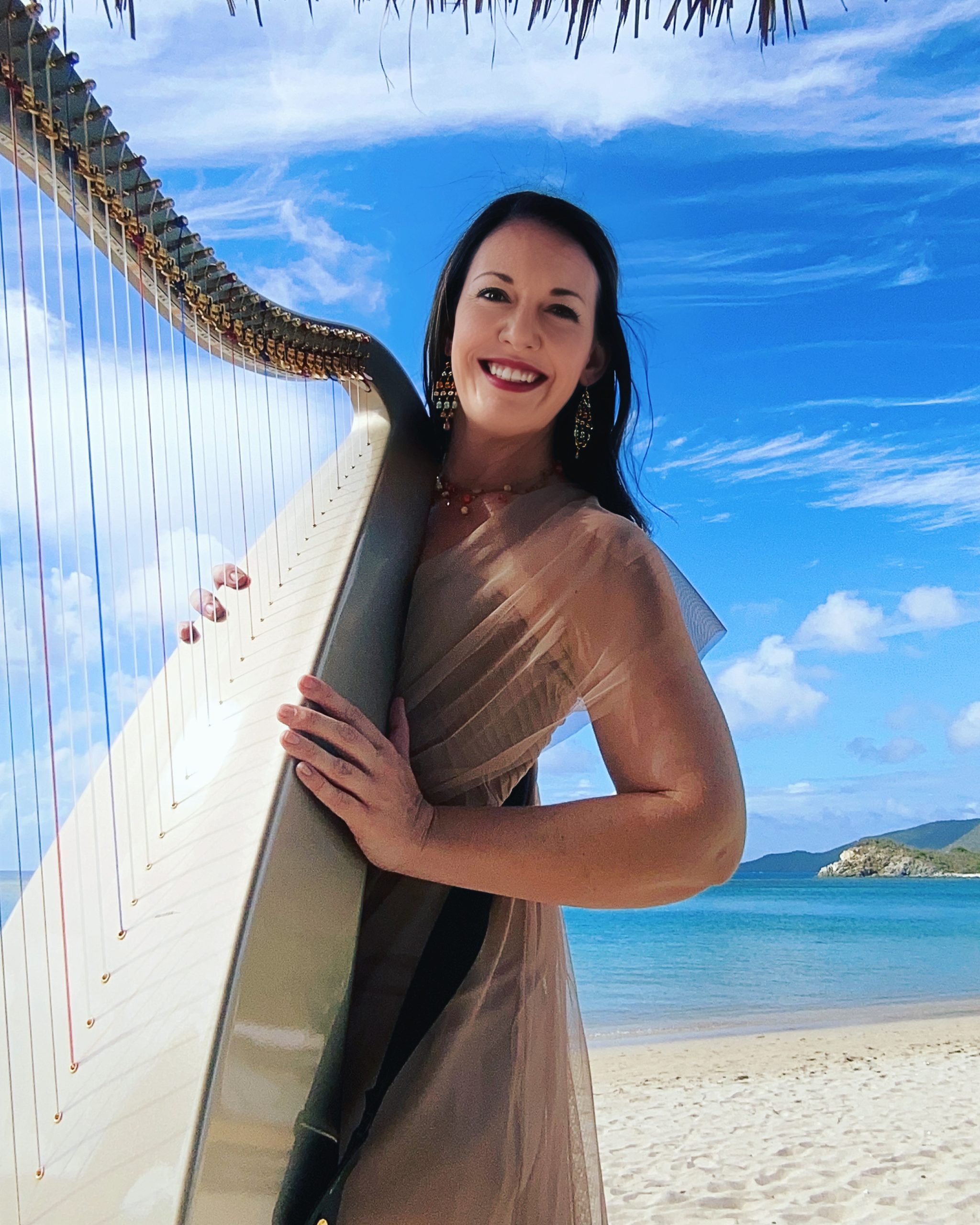 BVI Harpist