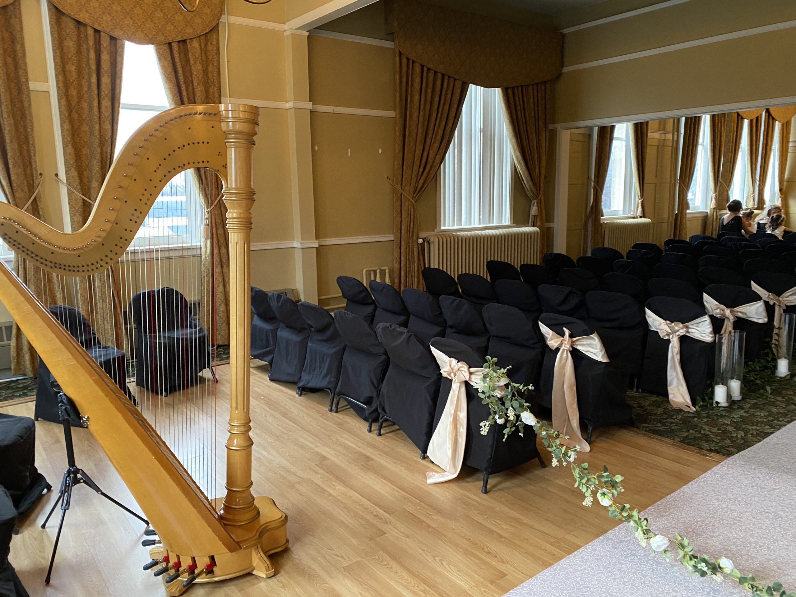 Jacksonville Harpist