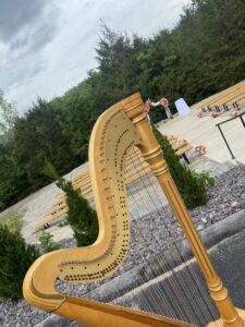 Ionia MI Harpist