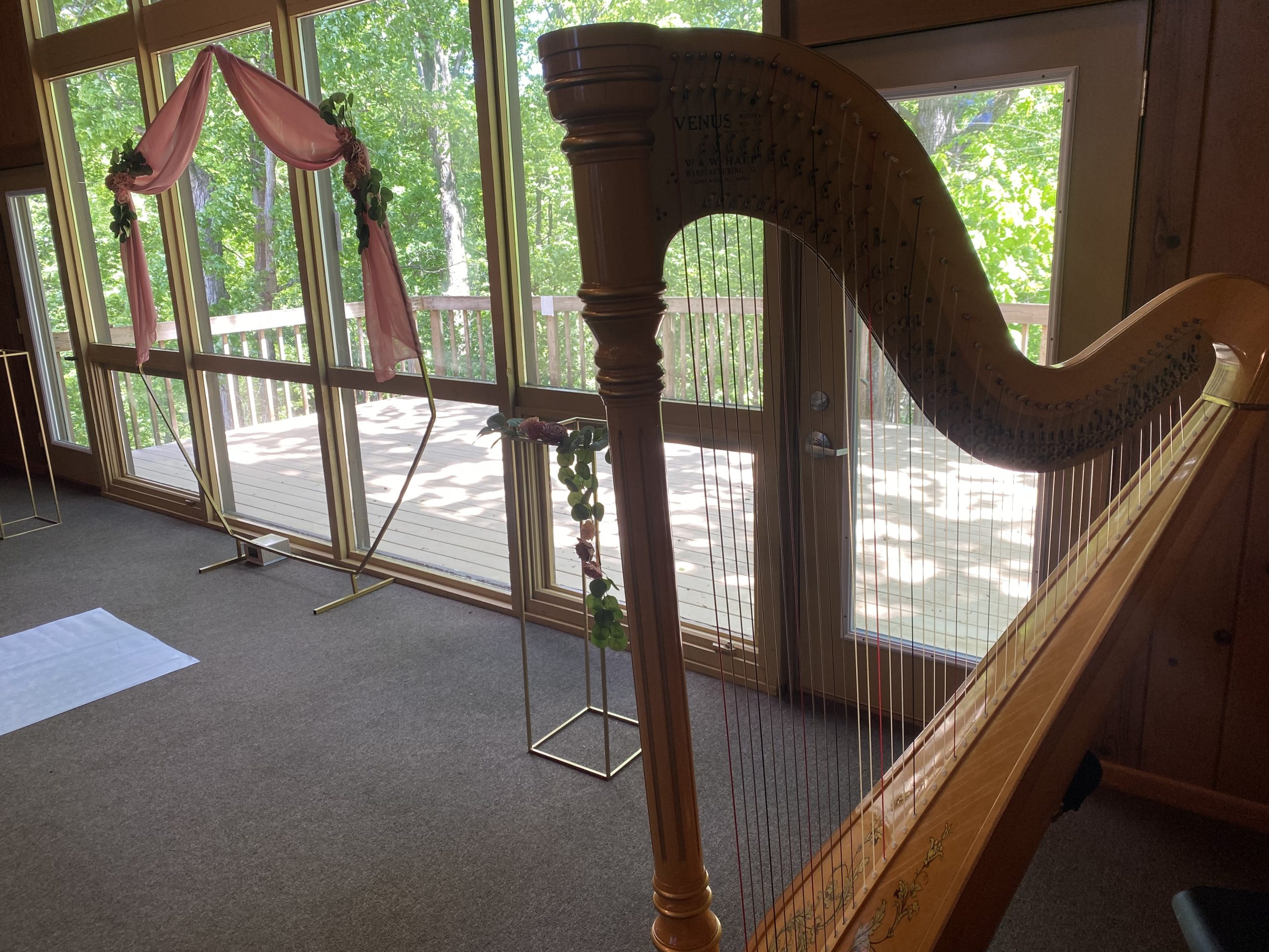 Harpist in West Lafayette