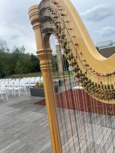 Harp Player in Grand Rapids