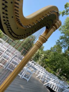 Anderson MO Harpist