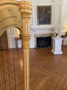 Port Washington WI Harpist
