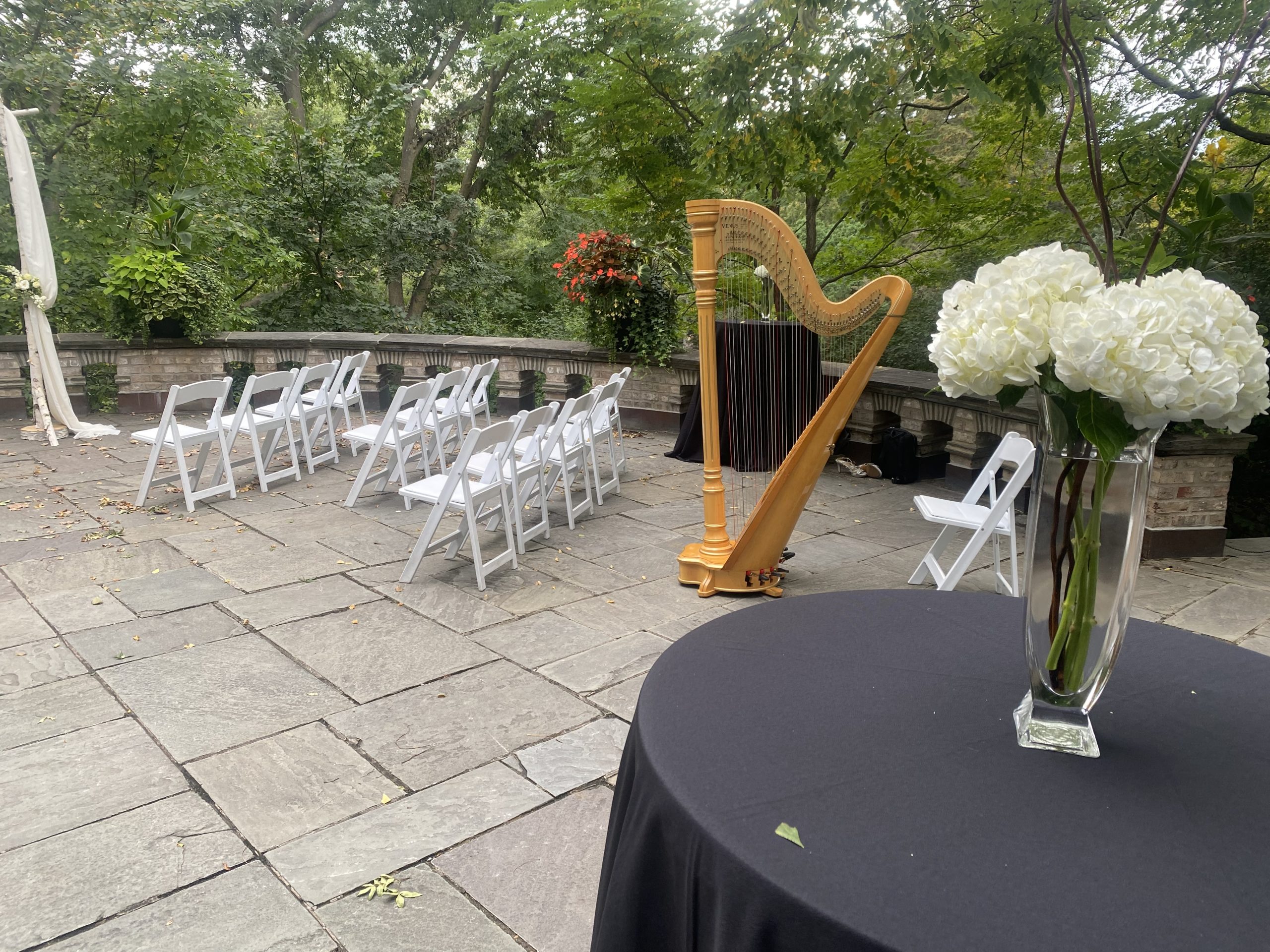 Harpist in Minnesota