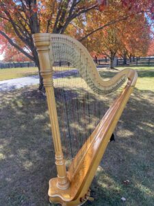 Rogers City MI Harpist