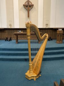 Jacksonville Wedding Harpist