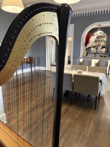 Cadiz OH Harpist