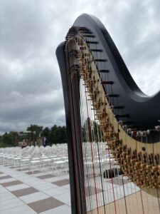 Jonesboro IL Harpist
