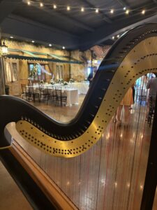 Lake City MI Harpist