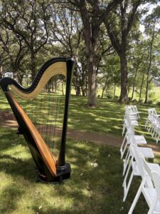 Hampton IA Harpist
