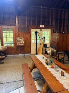 Harp Violin Duet Grand Rapids