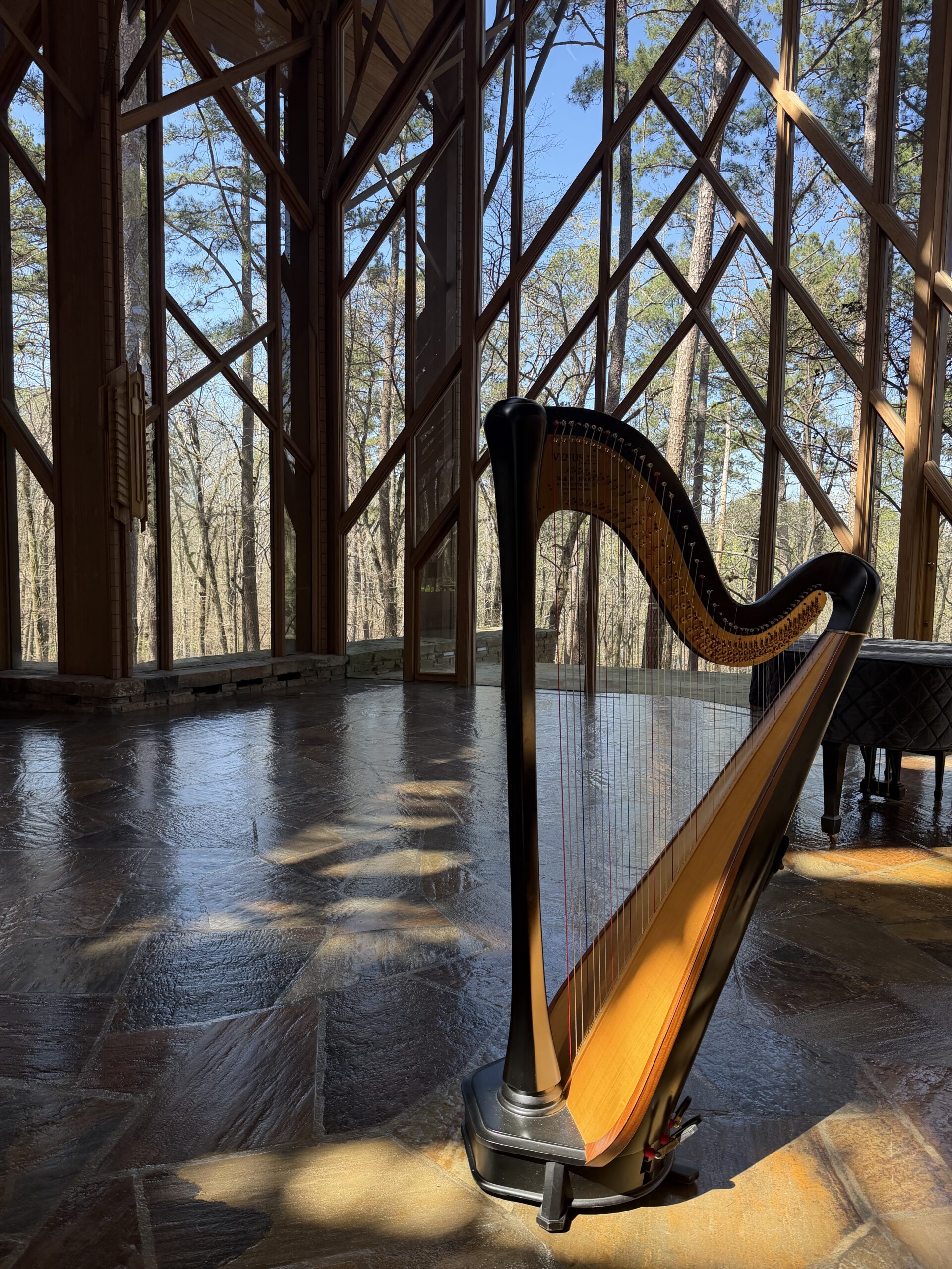 Harp for Wedding Hot Springs