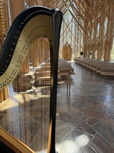Fond du Lac WI Harpist