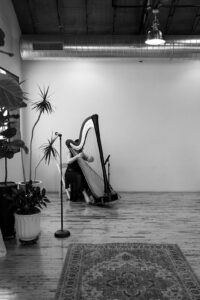 Edwardsville IL Harpist