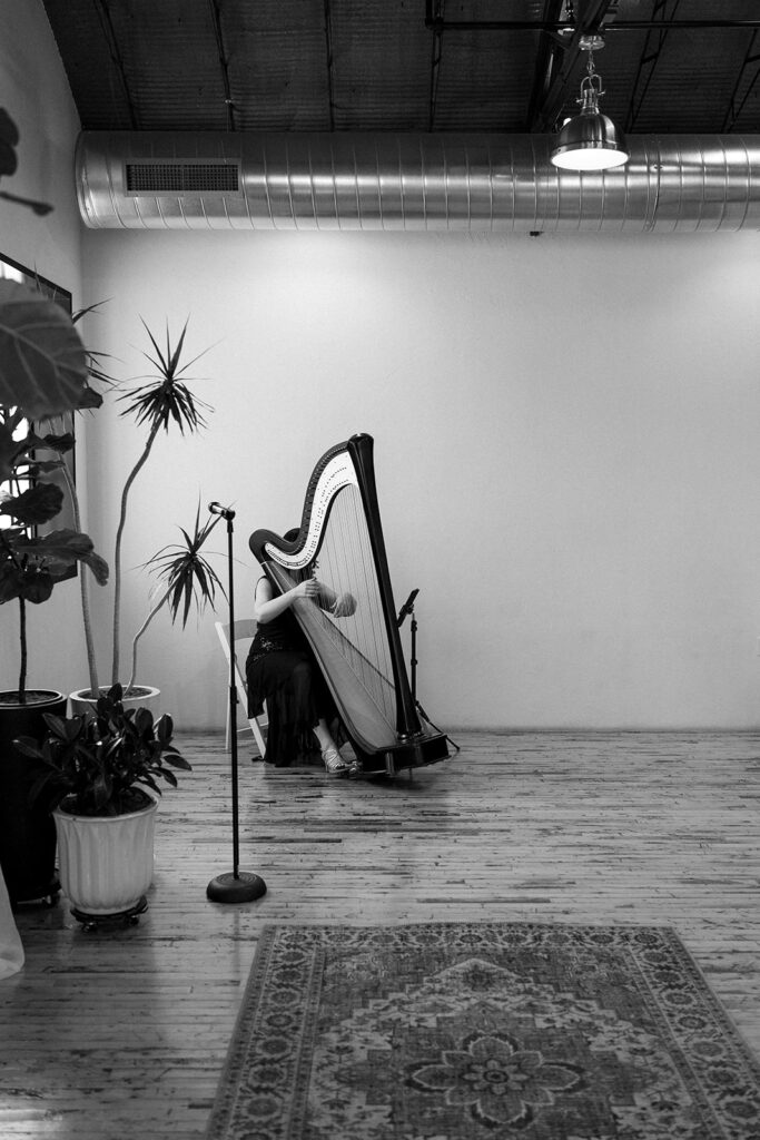 Edwardsville IL Harpist