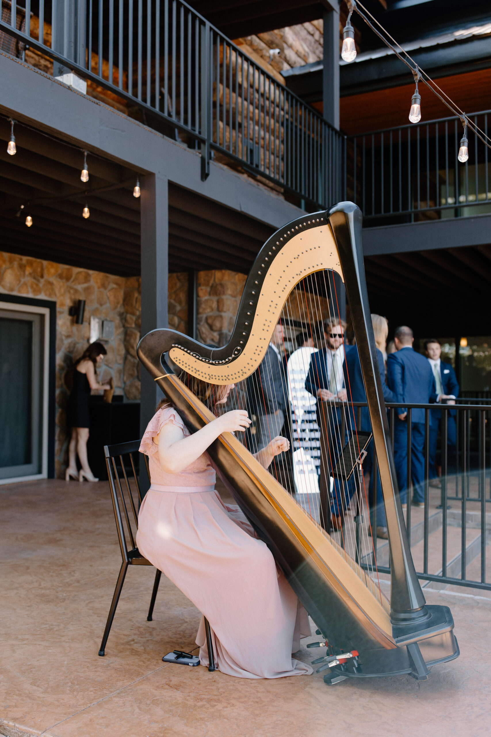 Aledo IL Harpist