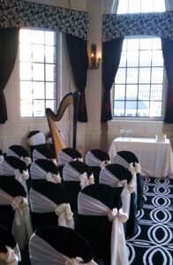 Best Harpist in Chicago