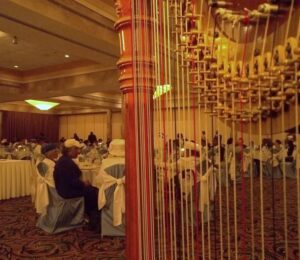 Willowbrook Harpist
